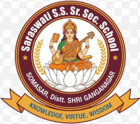 SARASWATI SHIKSHA SANSHTHAN SR SEC SCHOOL 